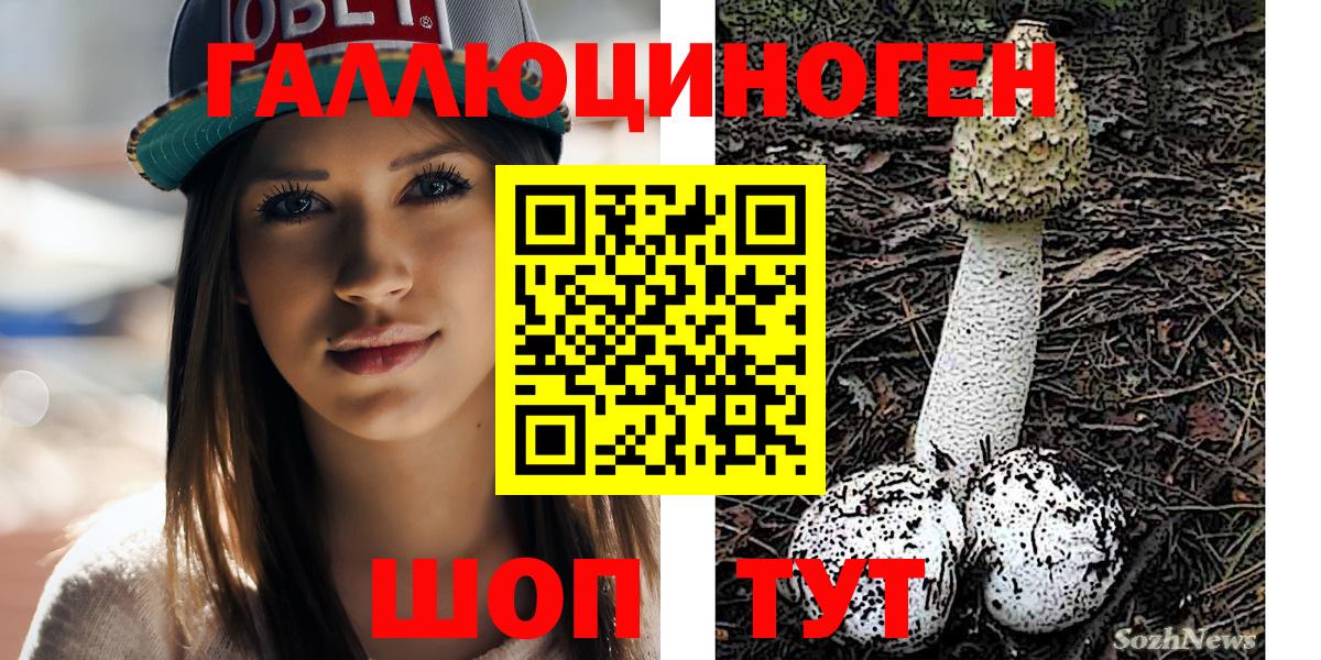 Галлюциногенные грибы Magic Shrooms  Вход с VPN  Псилоцибиновые грибы Magic Shrooms  Саров 